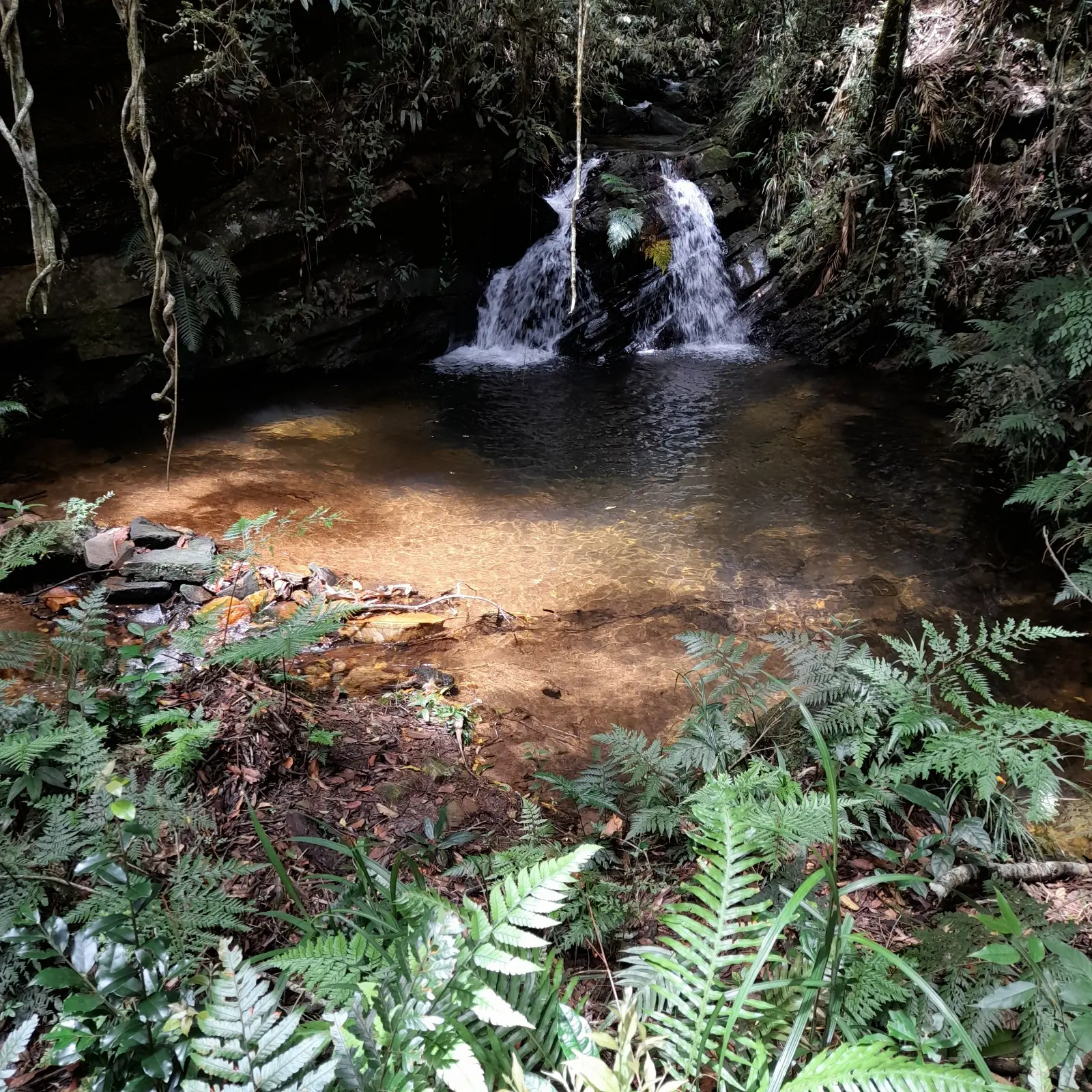 Cachoeira do Carvalhinho