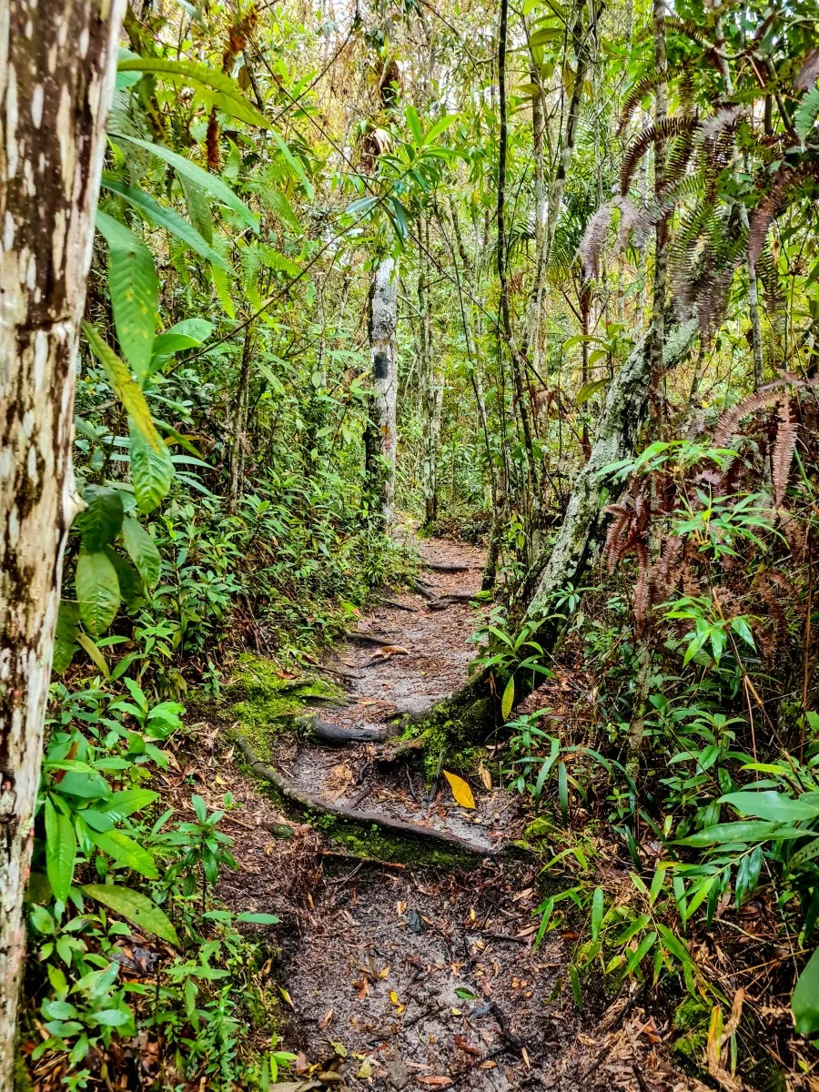 Paisagem da região de Ibitipoca