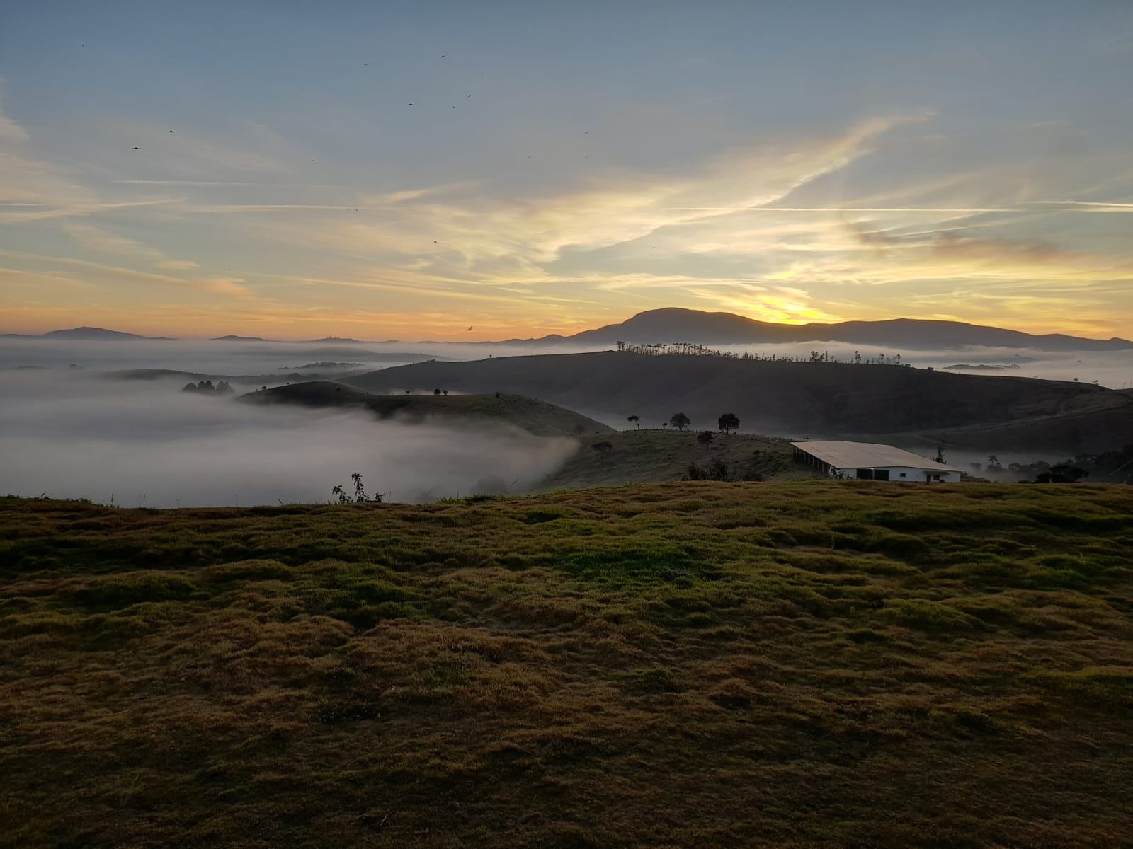 Amanhecer com neblina na fazenda